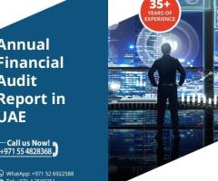 Annual Financial Audit Report in UAE