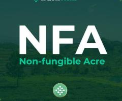 LiquidAcre | Revolutionizing the Crypto Market with NFA: Fast 60-Second Land Transactions